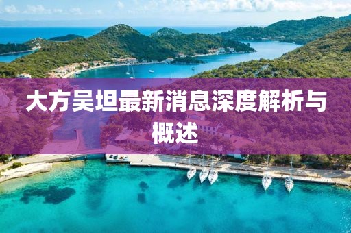 大方吴坦最新消息深度解析与概述