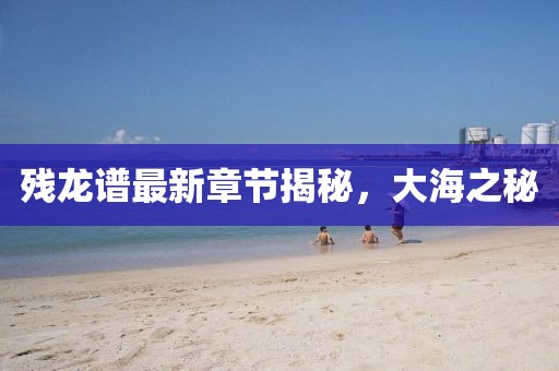 2024年11月 第6页