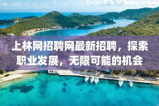上林网招聘网最新招聘，探索职业发展，无限可能的机会