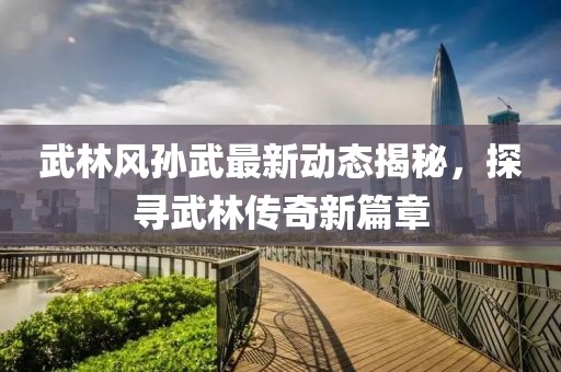 武林风孙武最新动态揭秘，探寻武林传奇新篇章