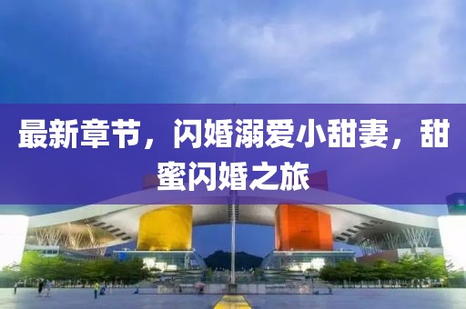 最新章节，闪婚溺爱小甜妻，甜蜜闪婚之旅