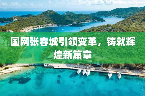 国网张春城引领变革，铸就辉煌新篇章