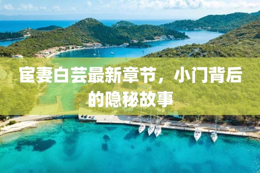 宦妻白芸最新章节，小门背后的隐秘故事