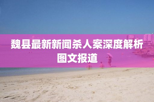 魏县最新新闻杀人案深度解析图文报道