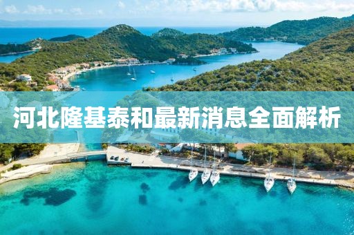 河北隆基泰和最新消息全面解析