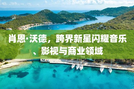 肖恩·沃德，跨界新星闪耀音乐、影视与商业领域