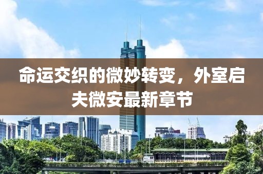 命运交织的微妙转变，外室启夫微安最新章节
