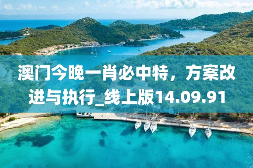 澳门今晚一肖必中特，方案改进与执行_线上版14.09.91