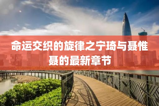 命运交织的旋律之宁琦与聂惟聂的最新章节