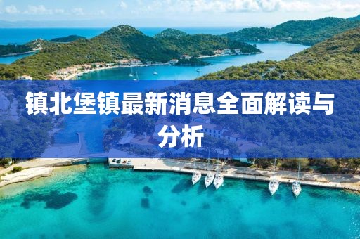 镇北堡镇最新消息全面解读与分析