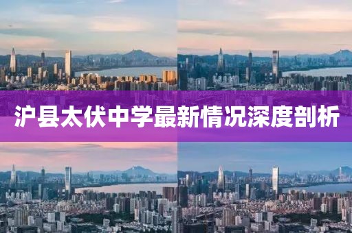 沪县太伏中学最新情况深度剖析