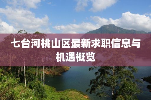 七台河桃山区最新求职信息与机遇概览