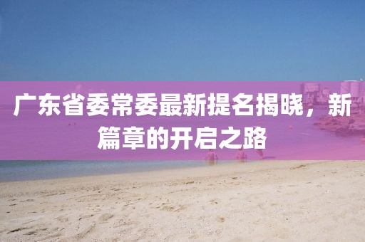 广东省委常委最新提名揭晓，新篇章的开启之路