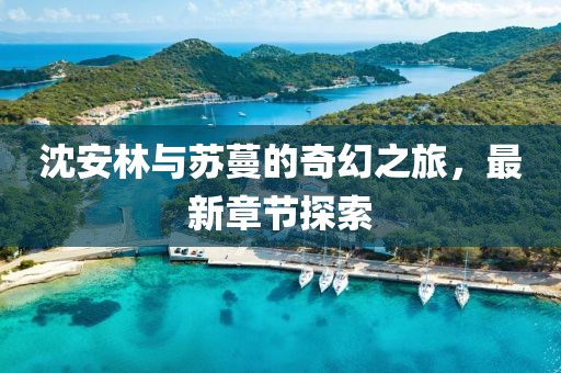 沈安林与苏蔓的奇幻之旅，最新章节探索