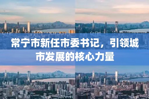 常宁市新任市委书记，引领城市发展的核心力量