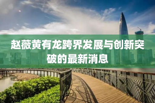 赵薇黄有龙跨界发展与创新突破的最新消息