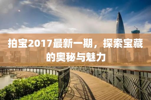 拍宝2017最新一期，探索宝藏的奥秘与魅力