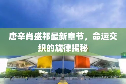 唐辛肖盛祁最新章节，命运交织的旋律揭秘