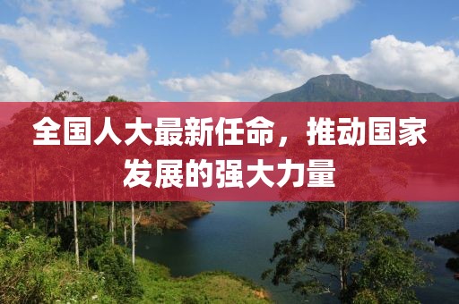 全国人大最新任命，推动国家发展的强大力量