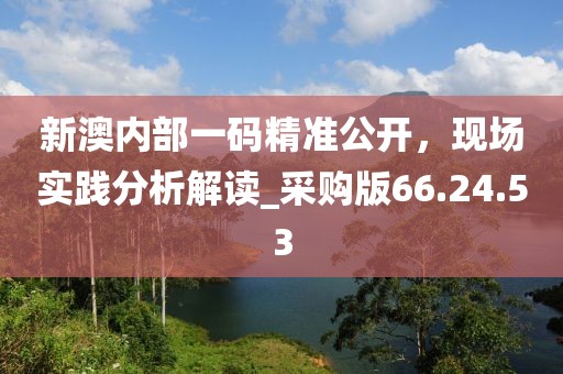 新澳内部一码精准公开，现场实践分析解读_采购版66.24.53