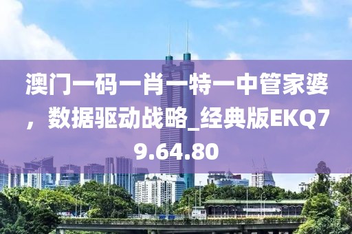 澳门一码一肖一特一中管家婆，数据驱动战略_经典版EKQ79.64.80