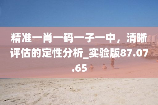 精准一肖一码一子一中，清晰评估的定性分析_实验版87.07.65