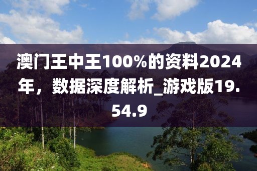 澳门王中王100%的资料2024年，数据深度解析_游戏版19.54.9