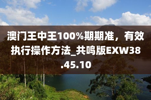 澳门王中王100%期期准，有效执行操作方法_共鸣版EXW38.45.10