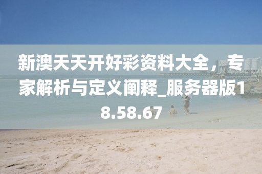 新澳天天开好彩资料大全，专家解析与定义阐释_服务器版18.58.67
