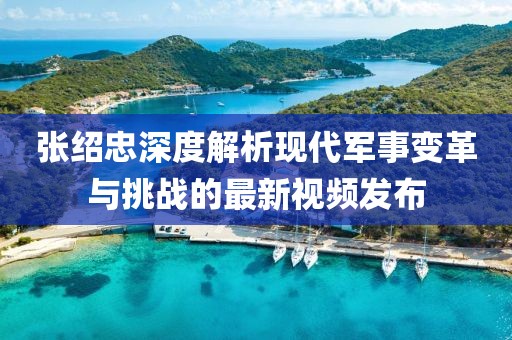 张绍忠深度解析现代军事变革与挑战的最新视频发布