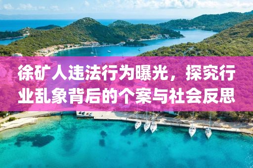 徐矿人违法行为曝光，探究行业乱象背后的个案与社会反思