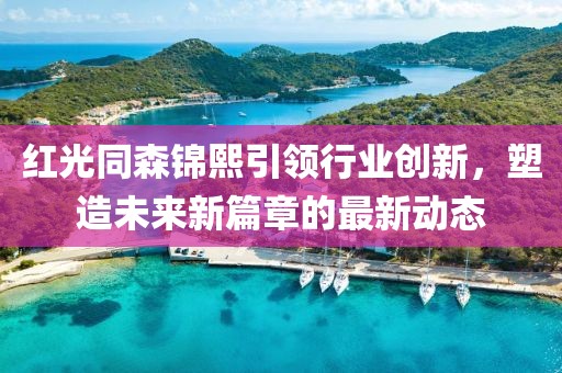 红光同森锦熙引领行业创新，塑造未来新篇章的最新动态