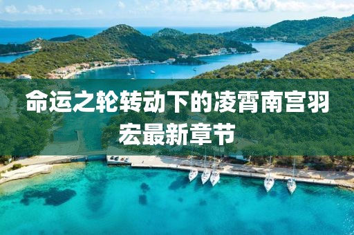 命运之轮转动下的凌霄南宫羽宏最新章节