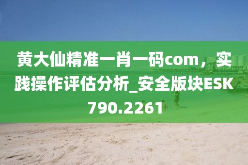 黄大仙精准一肖一码com，实践操作评估分析_安全版块ESK790.2261