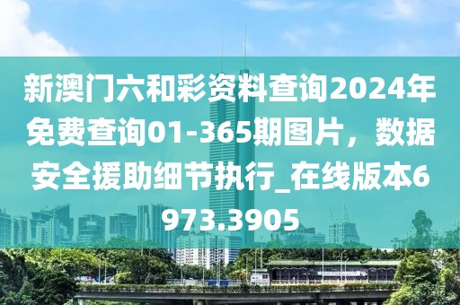 新澳门六和彩资料查询2024年免费查询01-365期图片，数据安全援助细节执行_在线版本6973.3905