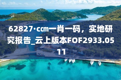 62827·c㎝一肖一码，实地研究报告_云上版本FOF2933.0511