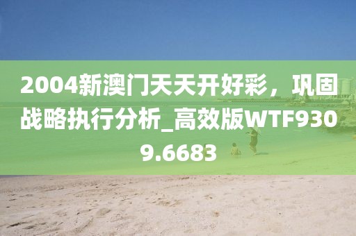 2004新澳门天天开好彩，巩固战略执行分析_高效版WTF9309.6683