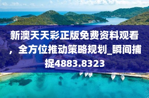 新澳天天彩正版免费资料观看，全方位推动策略规划_瞬间捕捉4883.8323