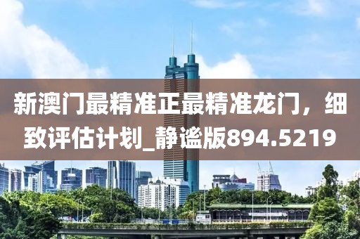 新澳门最精准正最精准龙门，细致评估计划_静谧版894.5219