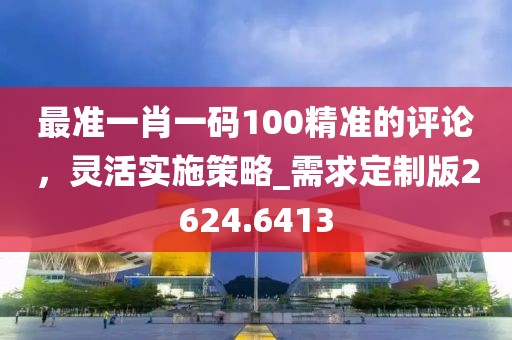 最准一肖一码100精准的评论，灵活实施策略_需求定制版2624.6413
