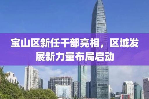 宝山区新任干部亮相，区域发展新力量布局启动