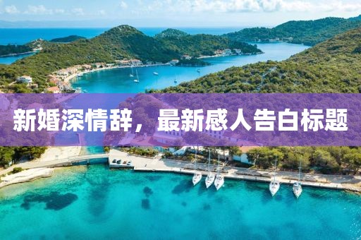 新婚深情辞，最新感人告白标题