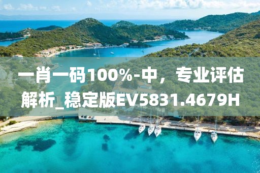 一肖一码100%-中，专业评估解析_稳定版EV5831.4679H