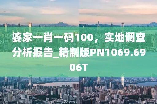 婆家一肖一码100，实地调查分析报告_精制版PN1069.6906T