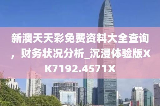 新澳天天彩免费资料大全查询，财务状况分析_沉浸体验版XK7192.4571X