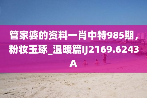 管家婆的资料一肖中特985期，粉妆玉琢_温暖篇IJ2169.6243A