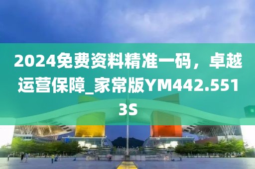 2024免费资料精准一码，卓越运营保障_家常版YM442.5513S