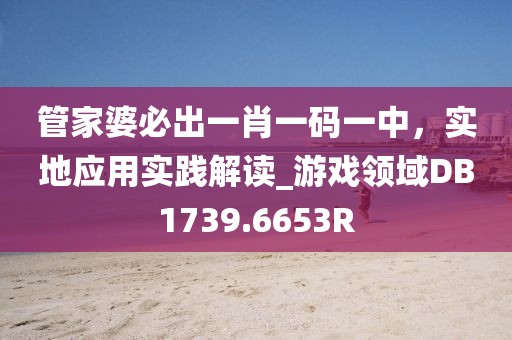管家婆必出一肖一码一中，实地应用实践解读_游戏领域DB1739.6653R