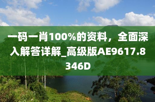 一码一肖100%的资料，全面深入解答详解_高级版AE9617.8346D