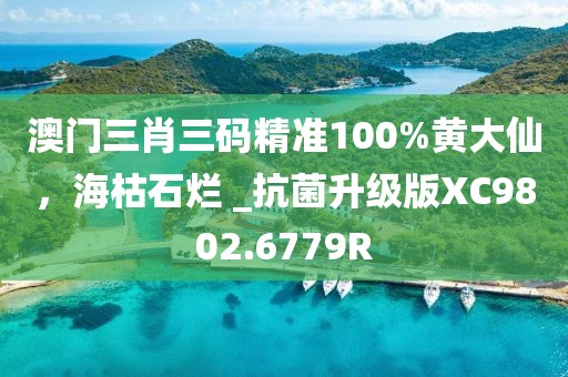 澳门三肖三码精准100%黄大仙，海枯石烂 _抗菌升级版XC9802.6779R